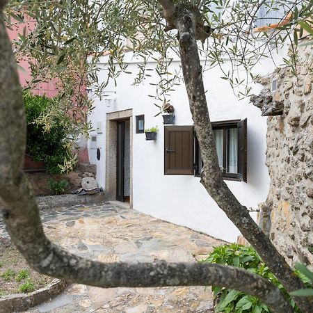 Casa Da Penha Villa Picote Eksteriør billede